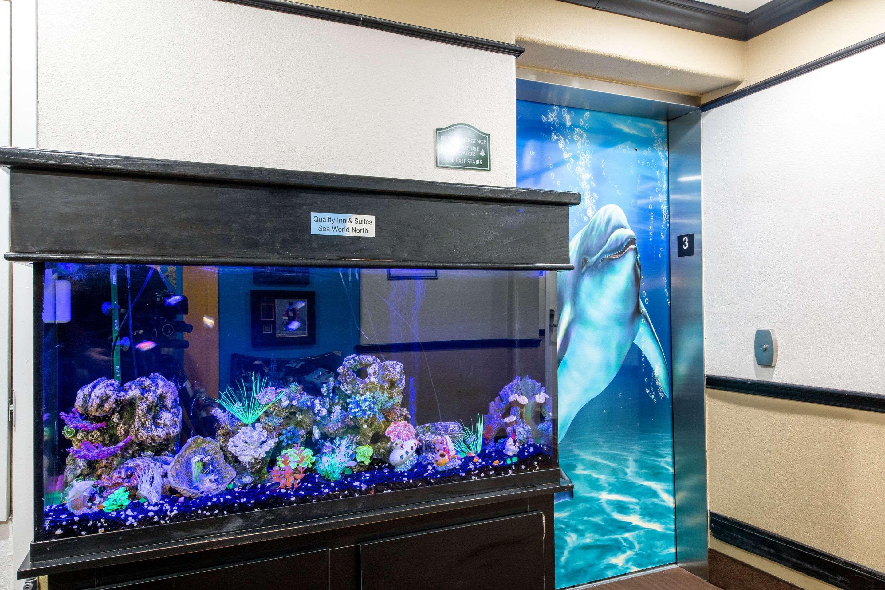 Quality Inn & Suites Seaworld North San Antonio Extérieur photo